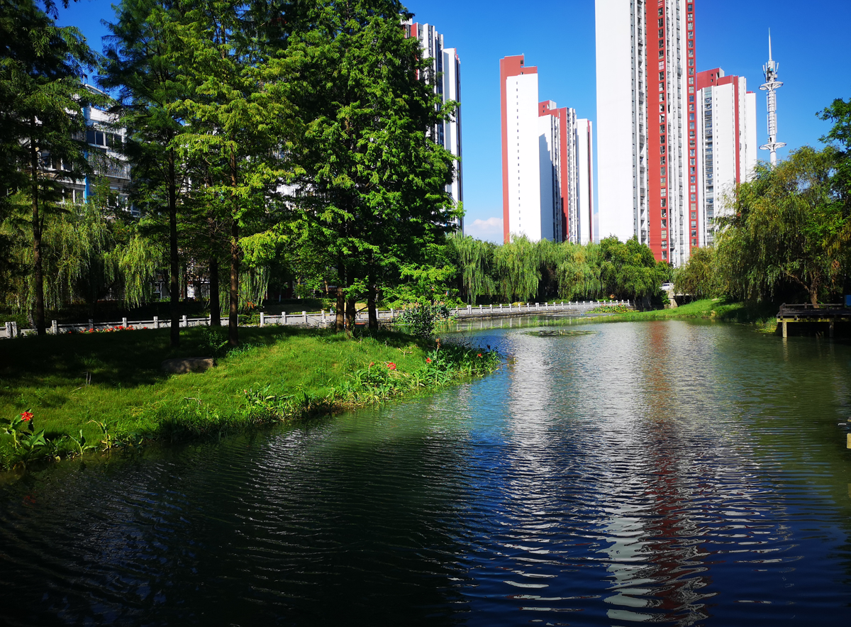 薛家鎮區域水環境綜合整治項目(中央資金項目)