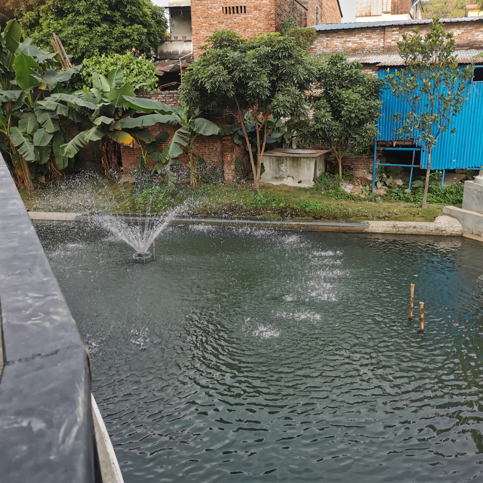 維爾利助力順德打贏黑臭水體攻堅(jiān)戰(zhàn)